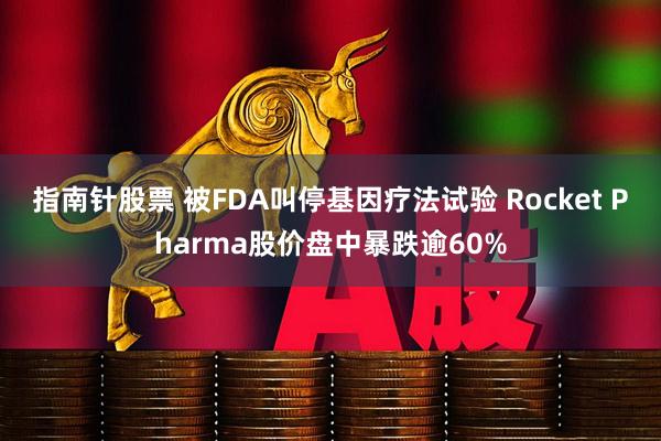 指南针股票 被FDA叫停基因疗法试验 Rocket Pharma股价盘中暴跌逾60%