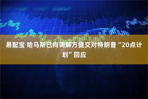 易配宝 哈马斯已向调解方提交对特朗普“20点计划”回应