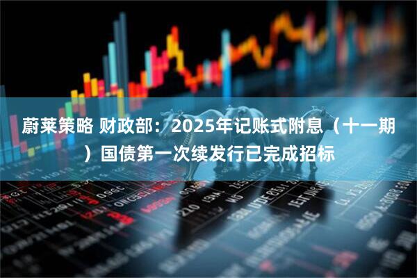 蔚莱策略 财政部：2025年记账式附息（十一期）国债第一次续发行已完成招标