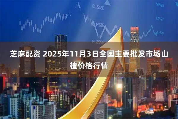 芝麻配资 2025年11月3日全国主要批发市场山楂价格行情