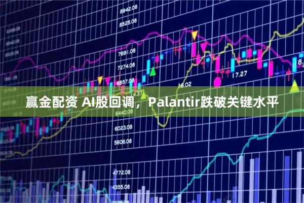 赢金配资 AI股回调，Palantir跌破关键水平