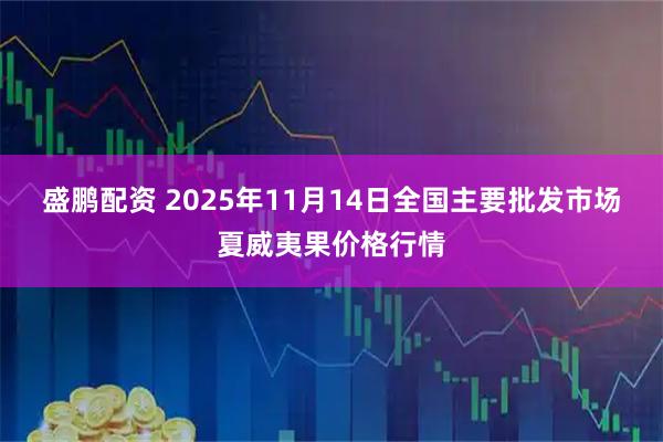 盛鹏配资 2025年11月14日全国主要批发市场夏威夷果价格行情