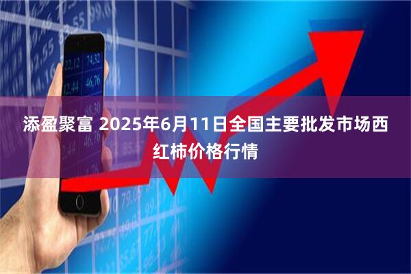 添盈聚富 2025年6月11日全国主要批发市场西红柿价格行情