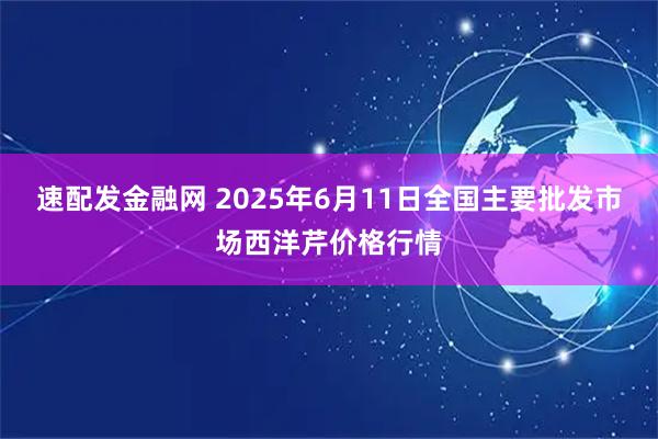 速配发金融网 2025年6月11日全国主要批发市场西洋芹价格行情